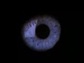 Zeitgeist Movie Quotes - Galloway,Albert,Sagan Zeitgeist Movie Quotes - Galloway,Albert,Sagan