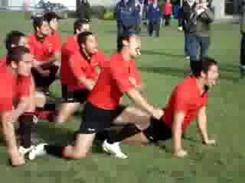 Te Aute College