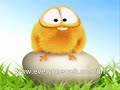 sweety the chick-4 video's!!
