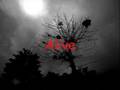 Haunted by Evanescence