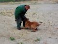 ATAQUE DE PISTOLA