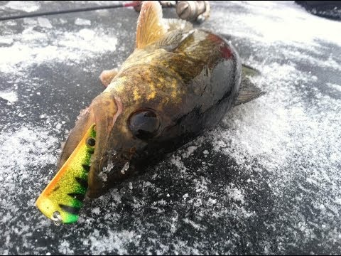 Spoon color critical to catch first-ice walleyes near Ely, MN - In-Depth Outdoors TV Season 8, #2