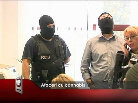 AFACERI CU CANNABIS