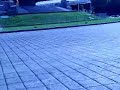 Showcar en Paseo de la Reforma