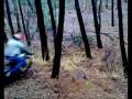 videos de Fietsen.wmv
