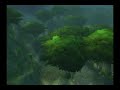 Stranglethorn Stranglethorn