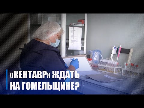 "Кентавр" наступает? видео