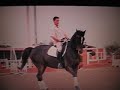 Marcel Remus - TV - Dressage Training III Marcel Remus - TV - Dressage Training III