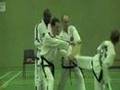 Taekwoncon Jumping Back Kick