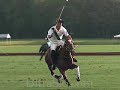 Polo Horses running in an UltraSlo race for the ball