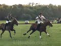 Polo Horses running in an UltraSlo race for the ball