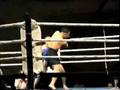 videos de Fight