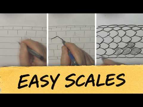 how to draw scales