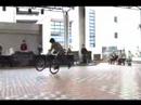 CIRCLE JAM 2007