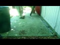 Smash My Batman RC car remote (Last smash for Season 1)
