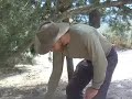 Rainwater Harvesting with Brad Lancaster Rainwater Harvesting with Brad Lancaster