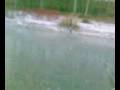 videos de VID003