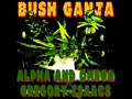Alpha & Omega- Bush Ganja Dub