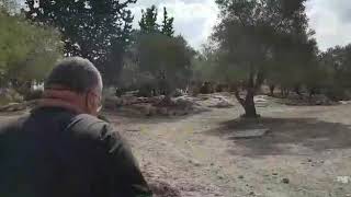 قريه صرعه بيت المختار