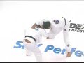 jiu jitsu teknikleri
