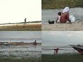 island life