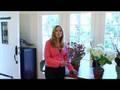 Empower Your Creative Genius: Feng Shui Your Home