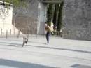 passeig dana