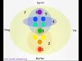 Vortex Energy Part3 How the Human TACHION light field works