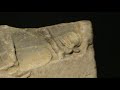 Menas-Stele-and-Coru
