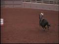 videos de Zanen's Shoe Fly aka 