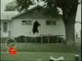 Funny accidents