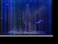 a.d. performance raining revolution on arsenio hall