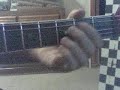 Rock-N-Roll Ain\ Rock-N-Roll Ain\