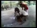 milk fish relay milk fish relay
