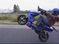 Sbteam Krystian Stunt Promo [2007]