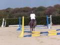 Waness et Ivoire 40cms Flottemanville