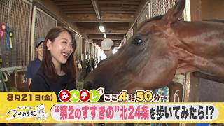 みんテレ