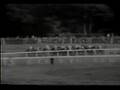 SeaBird-Prix de l'Arc de Triomphe