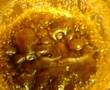 BHO-IN-THE-MAKING