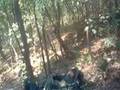 Tanbangsue - Stunt-1