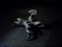 RoboQuad 1 RoboQuad 1