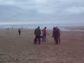panda on beach at watergate bay