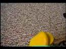 S,M&amp;B Super Toy Show Ep.3 "The 7 Chaos Part3"