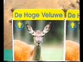 Hoge veluwe