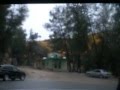 Rruga Krujë - FushëKrujë, tek pishat.