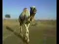 Filmy Online