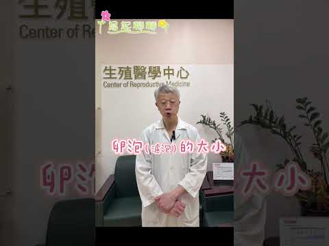 何時要取卵