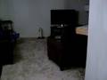 Daytona - Fetch Cat