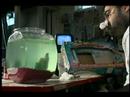 Geoffrey feeds the Sea Monkeys Geoffrey feeds the Sea Monkeys