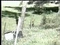 illegal dumpsite cleanup
